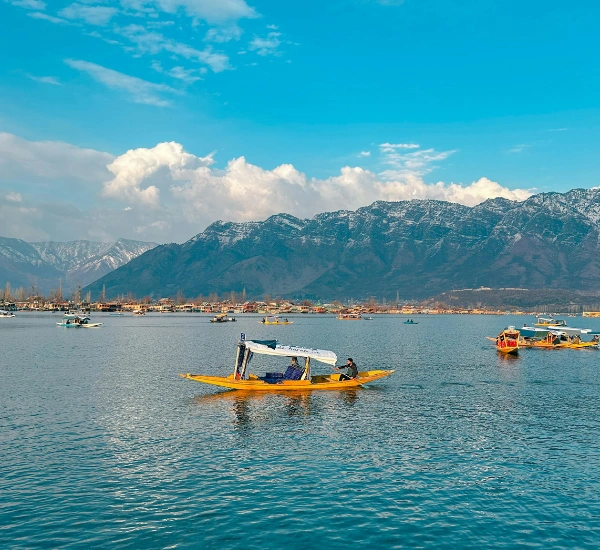 theTripkart Tour, Kashmir