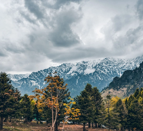 theTripkat Trending Destination, Himachal Pradesh